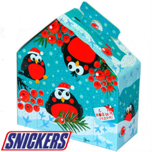 Детский подарок на Новый Год  в картонной упаковке весом 415 грамм по цене 628 руб